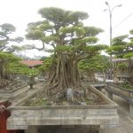 rsz_dscn0292