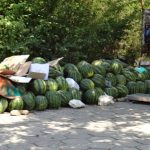 12-07_dini-797510