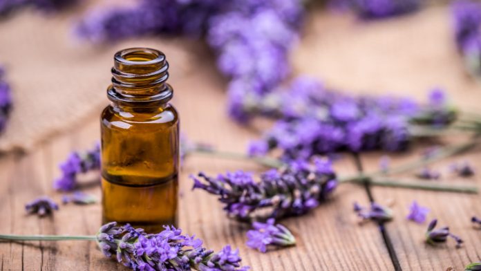 Herbal oil and lavender flowers