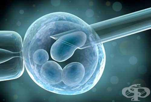 istoriq_in_vitro_oplojdaneto