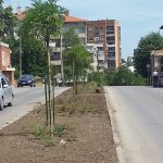 rsz_20180619_105737-1