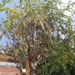 rsz_20180619_105952