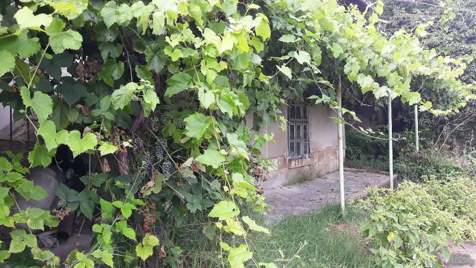 къща мараш