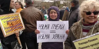 Пчеларите излизат на национален протест в опит да спасят бранша
