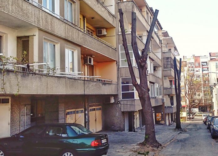 отрязани дървета шумен