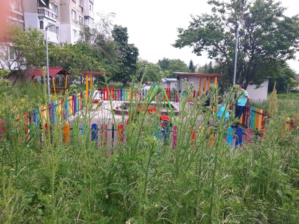 детска площадка треви