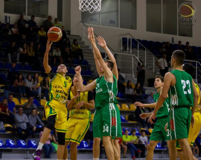 Basketball_1-740x587