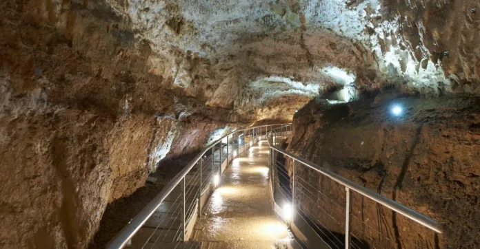 biserna1 (2)