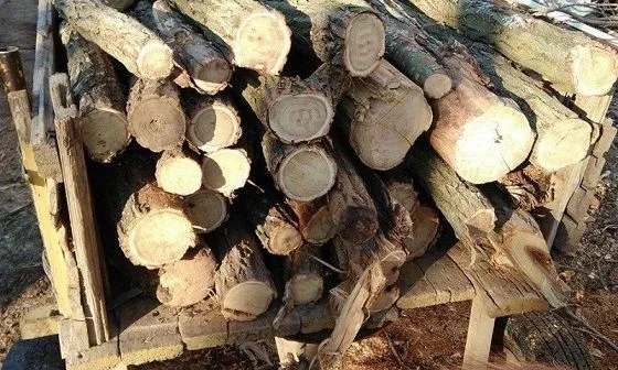 дърва