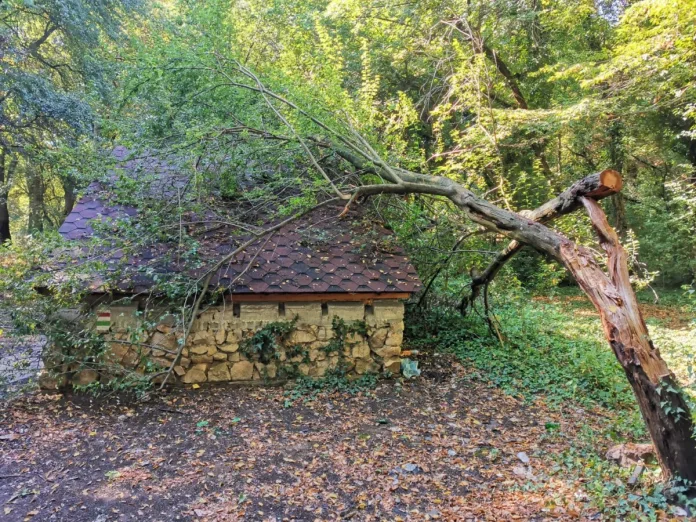 Алеко 2