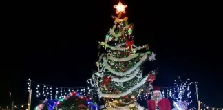 С. Ловец пак спечели конкурса за коледна украса