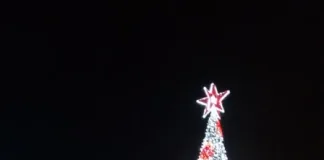 Днес светва коледната украса на Шумен