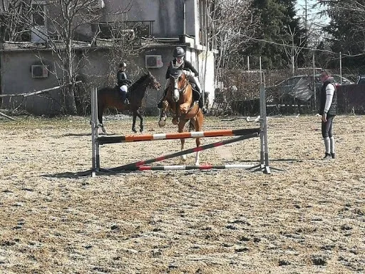 хиподрума
