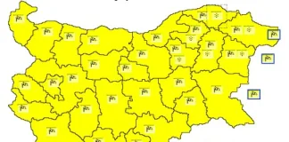 Бурният вятър събори дървета и електрически стълб