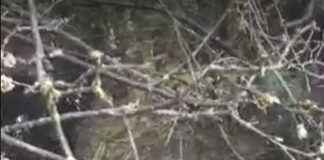 Шуменското сметище продължава да бълва мръсни води след всеки дъжд, въпреки многобройните сигнали