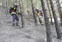 18 пожара край горски територии в Шумен и Търговище от началото на годината