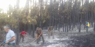 23 горски пожара в Североизтока от началото на годината