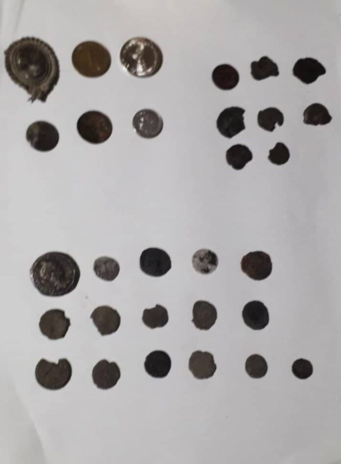 299274682_875038287234114_2282168292799150954_n (1)