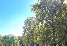 Младежи доброволци от БСП почистиха и освежиха Градската градина за новата учебна година