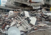 Служители на Горското в Омуртаг даряват 5 хил. лв. за пострадалите от земетресението