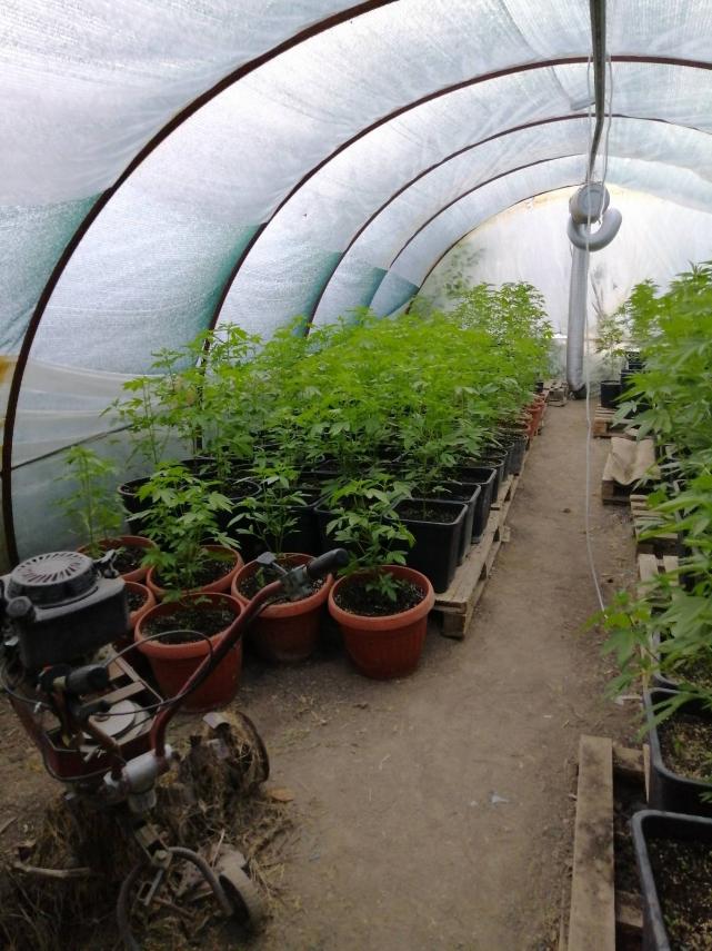 IMG-18b1ac5b1d93c11abd694d860d988d7c-V