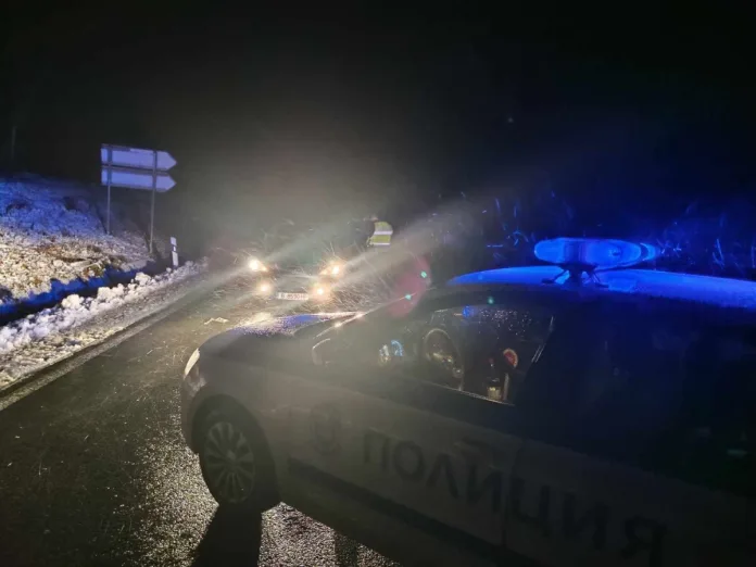 полиция сняг
