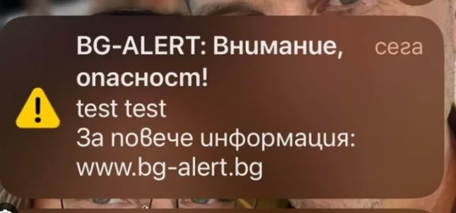 тест