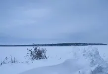 Всички пътища в област Разград остават затворени
