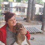 Преслав – приют