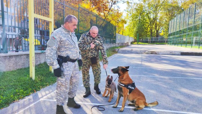 Роки