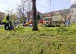 Слатина – косене