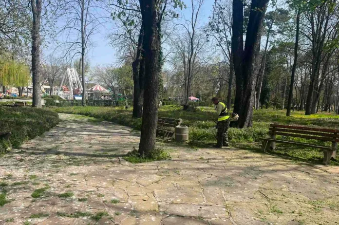 косене